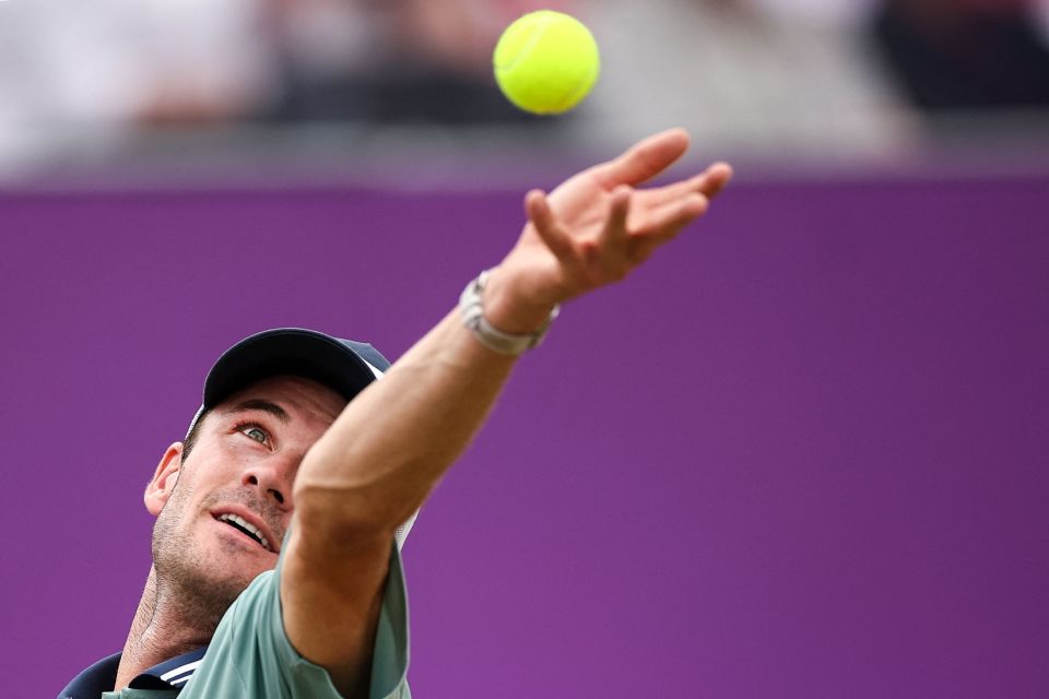 而是建立了 而是建立了