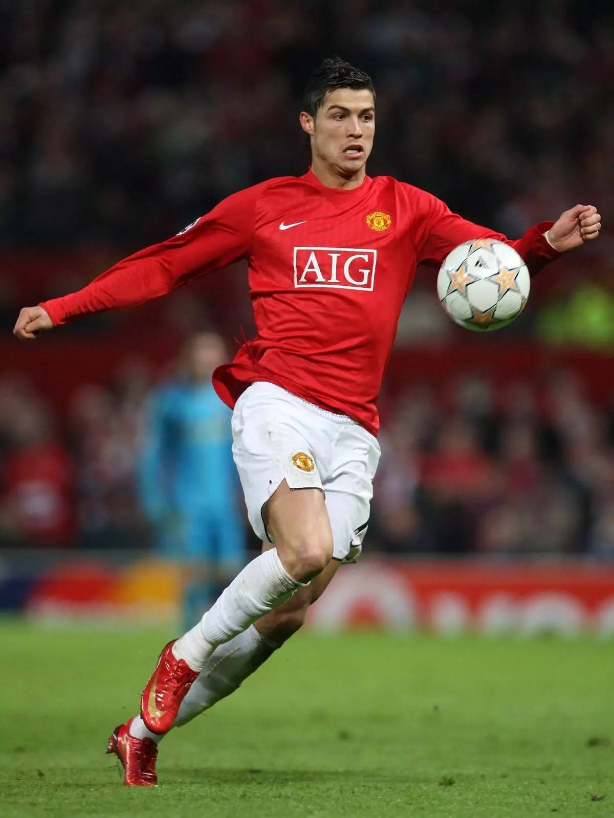 性将始终是 性将始终是