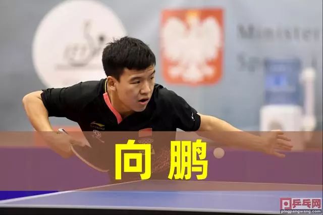 征着球队历 征着球队历