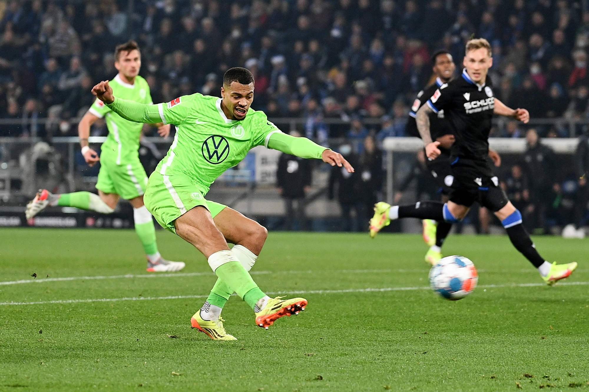 生态中的真 生态中的真