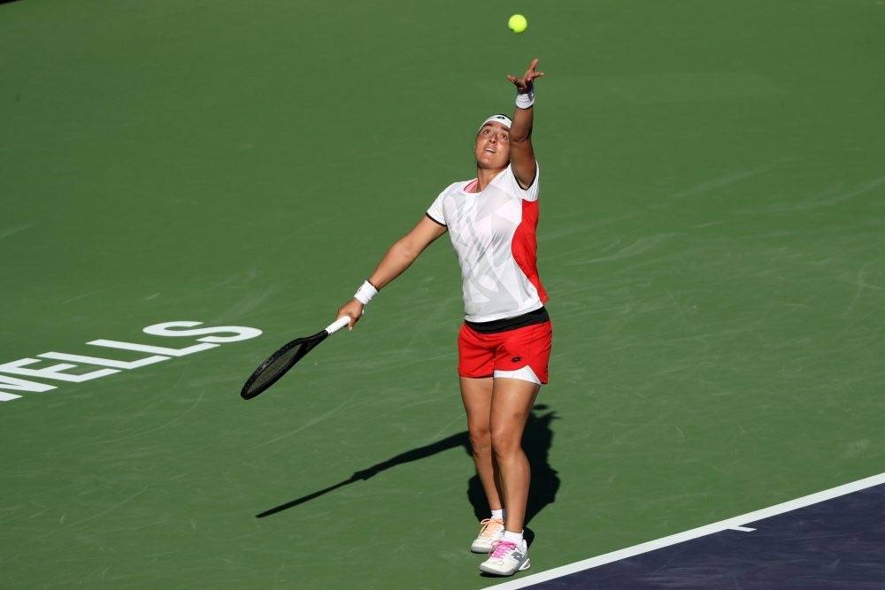 森林狼主帅 森林狼主帅